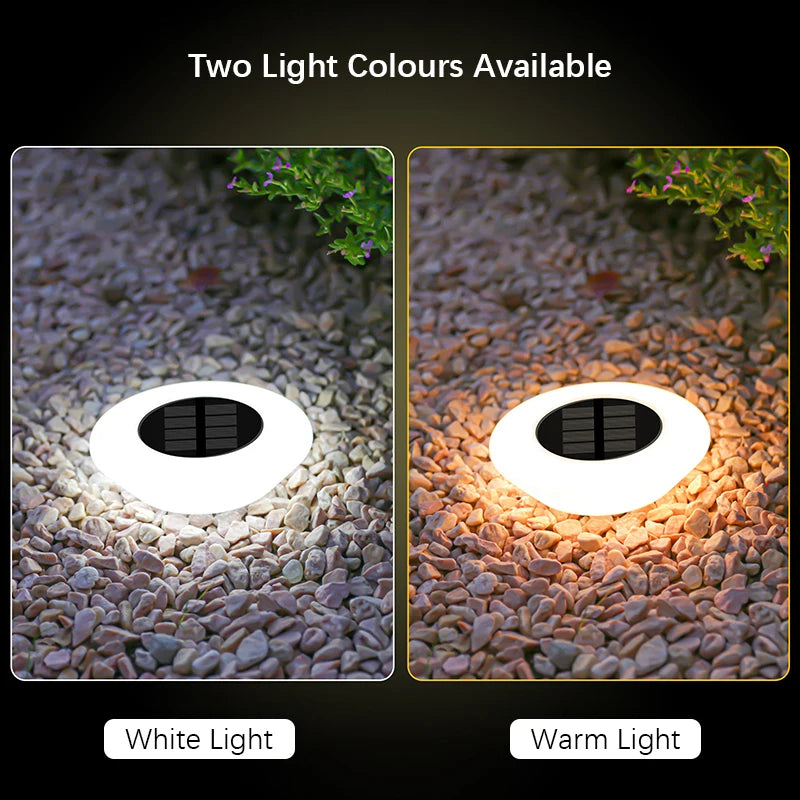 Solar Ground Lights (1/4 Pack) – 14 LED Waterproof Landscape Lights for Garden, Pathway, Yard, Deck, Camping